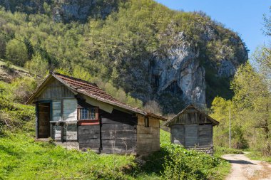 Terk edilmiş dağ evinde