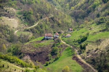 Dağdaki Sırp evi. Köydeki eski ev. Sırbistan'da güzel doğa.