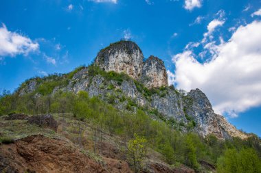 Sırbistan'daki dağ (Sırpça: Sokolska planina) Krupanj kasabası yakınlarında. Dağın tepesinde büyük bir Ortodoks haçı ve harabe bir Soko şehri ortaçağ kalesi vardır..