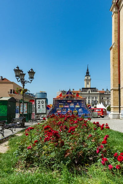 Újvidék Szerbia Június 2019 Freedom Square Szerb Trg Slobode Tér — Stock Fotó