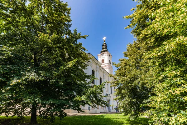 Novi Sad Serbia Juni 2019 Ostorthodoxe Kirche Der Himmelfahrt Der — Stockfoto