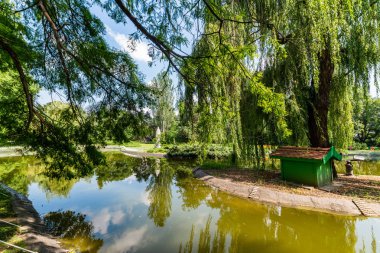 Novi Sad, Sırbistan - 19 Haziran 2019: Tuna Parkı veya (Sırpça: Dunavski Park), Novi Sad şehir merkezinde yer alan bir şehir parkıdır. 1895 yılında kurulan, bu korunmaktadır ve şehrin sembollerinden biridir.