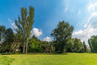 Novi Sad, Sırbistan - 19 Haziran 2019: Tuna Parkı veya (Sırpça: Dunavski Park), Novi Sad şehir merkezinde yer alan bir şehir parkıdır. 1895 yılında kurulan, bu korunmaktadır ve şehrin sembollerinden biridir.