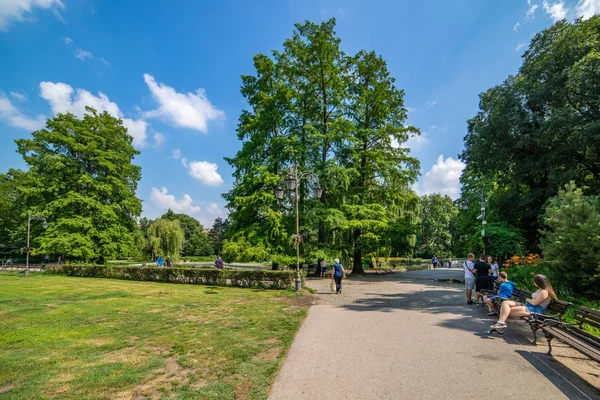 Novi Sad Serbia Junio 2019 Parque Del Danubio Serbio Dunavski — Foto de Stock