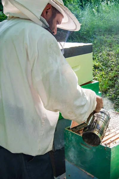 Apicultor Trabajo Apicultor Levantando Estantes Colmena Apicultor Salva Las Abejas —  Fotos de Stock