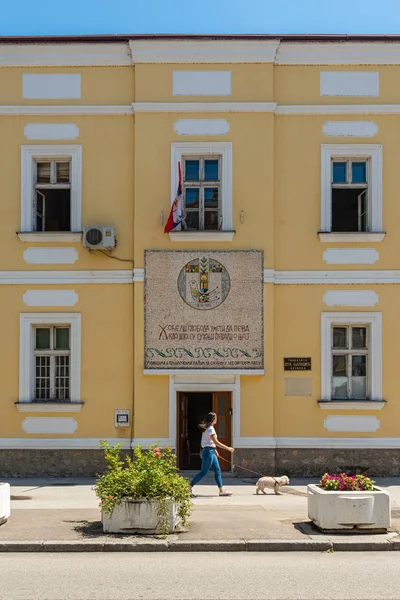 Loznica Serbia Julio 2019 High School Secundaria Gimnazija Serbio Vuk —  Fotos de Stock