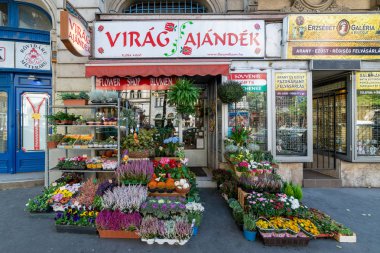 Budapeşte, Macaristan - 01 Ekim 2019: Budapeşte, Macaristan 'da çiçekçi. Mağazada hazır buketlerden saksılara kadar her şeyi alabilirsin..