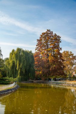 Novi Sad, Sırbistan - 28 Ekim 2019: Tuna Parkı (Sırpça: Dunavski Parkı), Novi Sad şehir merkezinde bir şehir parkı. 1895 'te kuruldu ve şehrin sembollerinden biri olarak korunuyor..