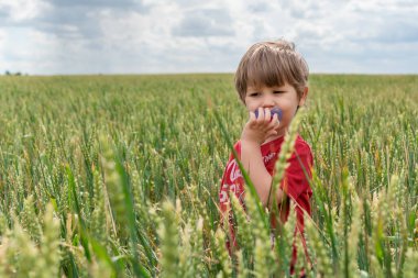Buğday tarlasında küçük şirin bir çiftçi. Buğday tarlasında küçük bir çocuğun portresi.