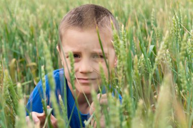 Buğday tarlasında küçük şirin bir çiftçi. Buğday tarlasında küçük bir çocuğun portresi.