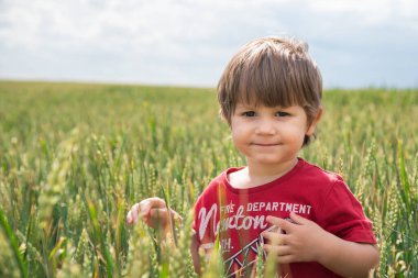 Buğday tarlasında küçük şirin bir çiftçi. Buğday tarlasında küçük bir çocuğun portresi.
