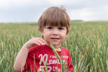 Buğday tarlasında küçük bir çocuğun portresi. Buğday tarlasında çocuk