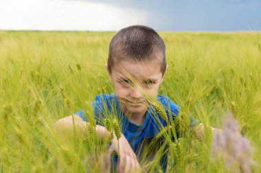 Buğday tarlasında küçük bir çocuğun portresi. Buğday tarlasında çocuk