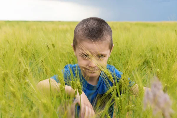 Buğday tarlasında küçük bir çocuğun portresi. Buğday tarlasında çocuk