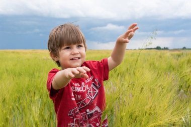 Buğday tarlasında küçük bir çocuğun portresi. Buğday tarlasında çocuk