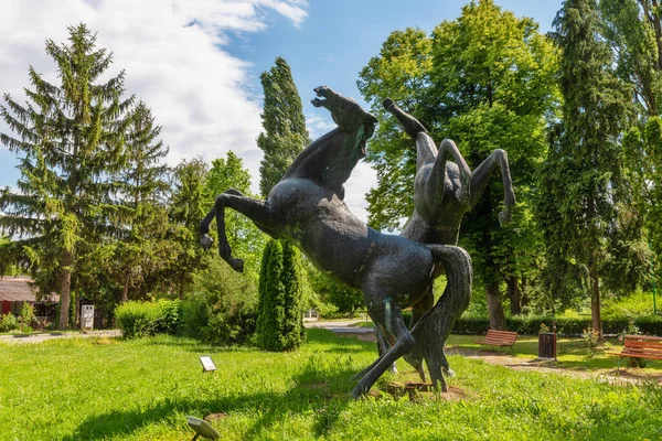 Karadjordjevo Sérvia Junho 2020 Uma Grande Escultura Dois Cavalos Parque — Fotografia de Stock