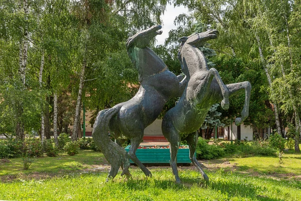 Karadjordjevo Serbia Junio 2020 Una Gran Escultura Dos Caballos Parque — Foto de Stock