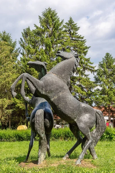Karadjordjevo Serbia Junio 2020 Una Gran Escultura Dos Caballos Parque — Foto de Stock