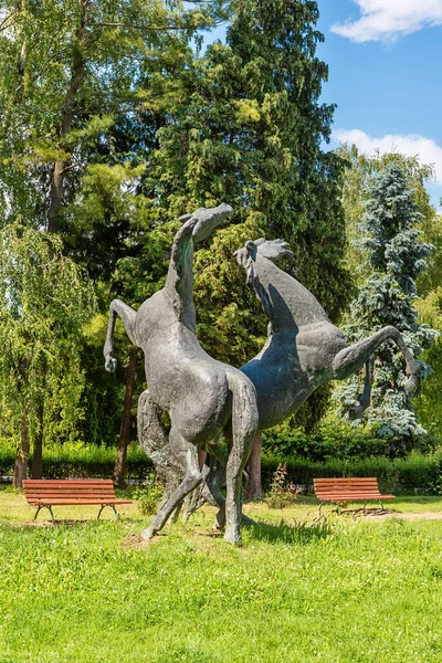 Karadjordjevo Serbie Juin 2020 Une Grande Sculpture Deux Chevaux Dans — Photo