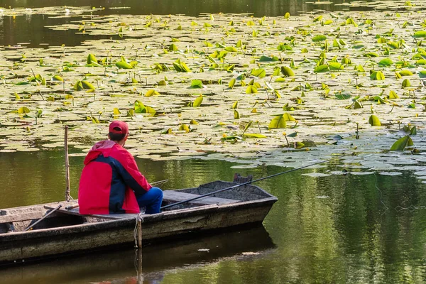 Караджордево Сербия Июня 2020 Года Рыбак Лодке Пруду Водяными Лилиями — стоковое фото