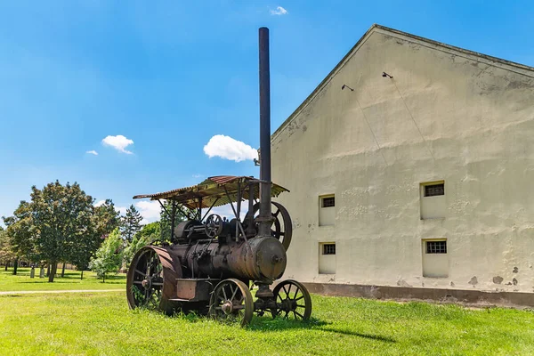 Kulpin Szerbia 2020 Június Vintage 1924 Régi Traktor Hofherr Schrantz — Stock Fotó