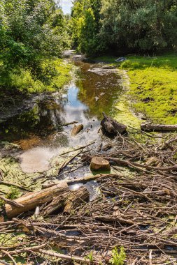 Nehrin bir kısmını tıkayan kütük ve enkaz yığını. Nehirde su baskınından kalan odun ve enkaz kalıntıları. Ağaç gövdeleri hızla akan nehri tıkıyor.
