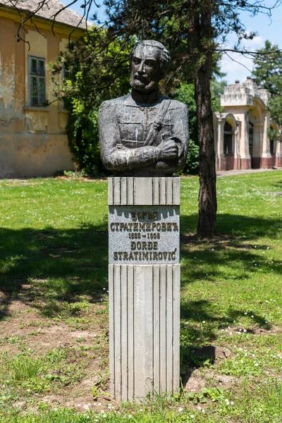 Kulpin Sérvia Junho 2020 Busto Comemorativo Djordje Stratimirovic Kulpin Foi — Fotografia de Stock