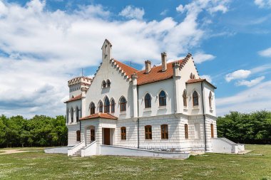 Stari Lec, Sırbistan - Haziran 04, 2020: Kapetanovo, Sırbistan 'ın kuzeydoğusundaki Plandiste belediyesinin Stari Lec köyünde yer alan bir Neo-Gotik şatosu..