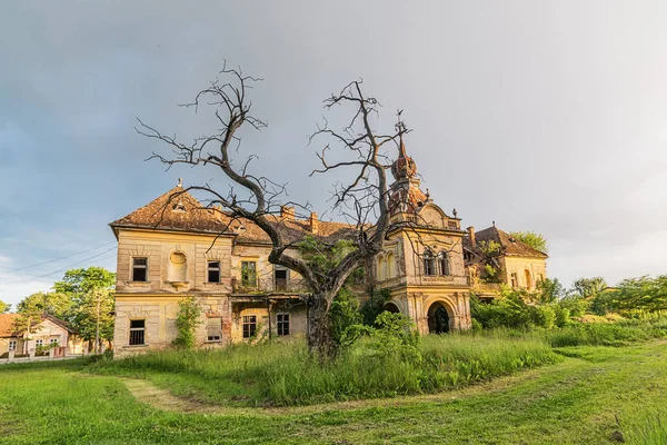 Vlajkovac Serbie Juin 2020 Château Bissingen Nipenburg Vlajkovac Serbie Été — Photo