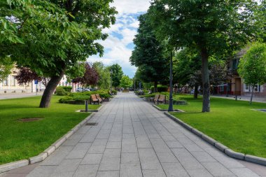 Vrsac, Sırbistan - Haziran 04, 2020: Sırbistan 'ın Vrsac kentindeki yaya bölgesi. Kasaba halkının asırlık buluşma yeri. Rus Parkı.