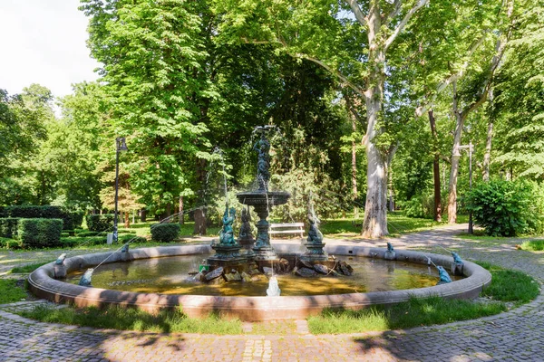 Vrsac Serbia Junio 2020 Parte Fuente Del Parque Ciudad Vrsac — Foto de Stock