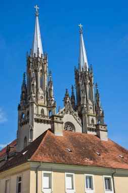 Vrsac, Sırbistan - Haziran 04, 2020: St. Gerhard 'a adanmış muhteşem bir Roma Katolik katedrali (Sırpça: Crkva Svetog Gerharda) 1863 yılında inşa edildi.. 