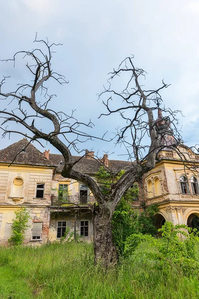 Vlajkovac Serbie Juin 2020 Château Bissingen Nipenburg Vlajkovac Serbie Été — Photo