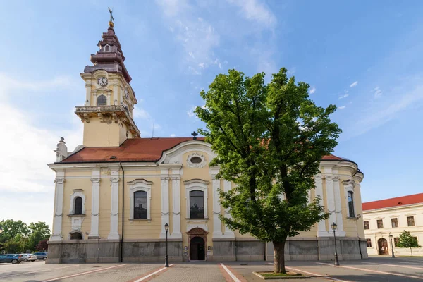 Vrgack Serbia June 2020 Cathedral Nicholas Serbian Saborna Crkva Svetog — 스톡 사진