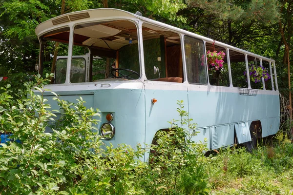 Fruska Gora Sérvia Junho 2020 Velho Ônibus Abandonado Natureza — Fotografia de Stock