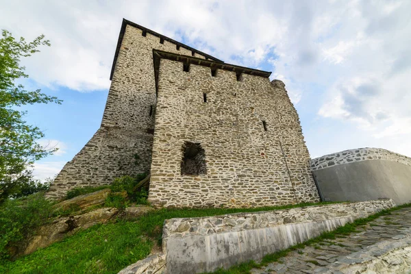 セルビアのヴラツ要塞 2020年6月4日 セルビアのヴラツ要塞 ヴォイヴォディナ地区のランドマーク建築 かつて ヴラツ塔 として知られていたヴラツ城は中世の要塞です — ストック写真