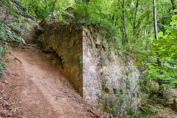 Ruínas Antigas Floresta Fruska Gora Sérvia — Fotografia de Stock