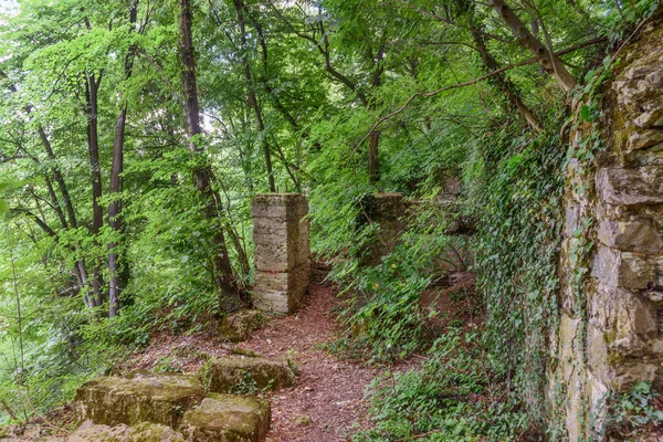 Παλιά Ερείπια Στο Δάσος Στη Φρούσκα Γκόρα Της Σερβίας — Φωτογραφία Αρχείου
