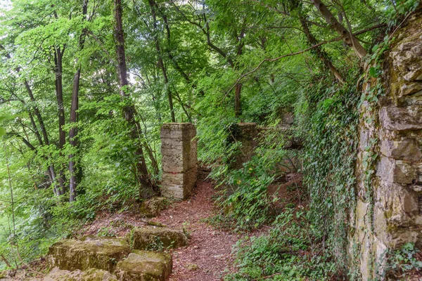 Vecchie Rovine Nel Bosco Fruska Gora Serbia — Foto Stock