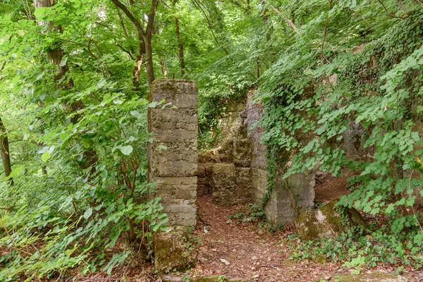 Sırbistan 'ın Fruska gora kentindeki ormandaki eski kalıntılar