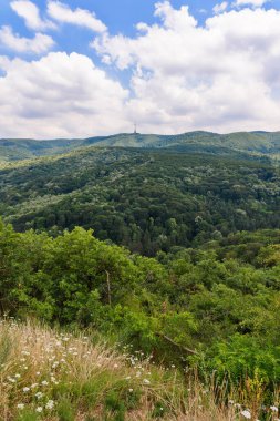 The Eagle Battlefield (serbian: Orlovo bojiste) is a former quarry, where youll catch a breathtaking view of Fruska Gora. Panorama of Mount Fruska Gora clipart