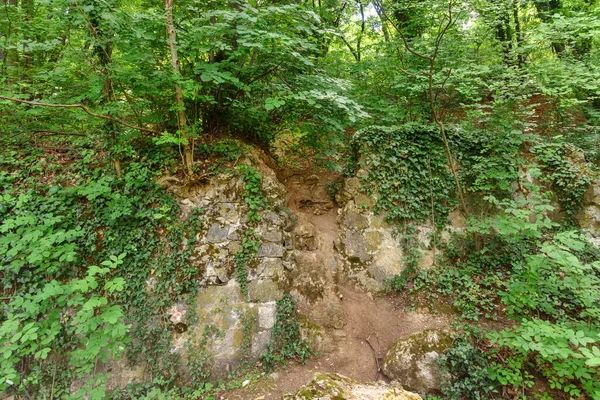 Viejas Ruinas Bosque Fruska Gora Serbia — Foto de Stock