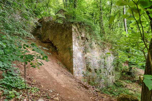 Viejas Ruinas Bosque Fruska Gora Serbia — Foto de Stock