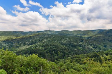 Kartal Savaş Alanı (Sırpça: Orlovo bojiste) eski bir taş ocağıdır. Fruska Dağı 'nın Panoraması