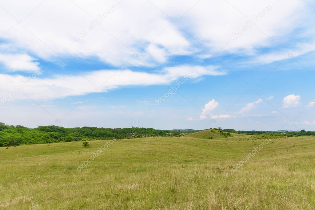 A field in the Deliblatska pescara in Serbia. Deliblato Sands is a large area covering around 300 km of ground in Vojvodina province, Serbia.