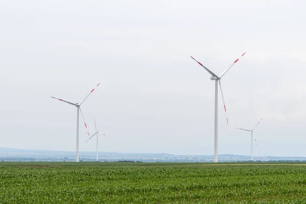 Windmills Electric Power Production High Angle Shot Wind Turbines Open — Stock Photo, Image