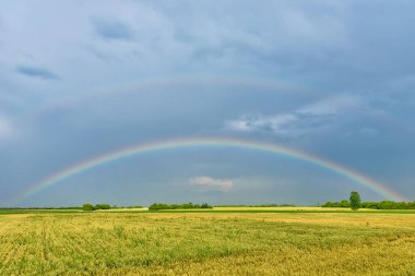 Bir tarlanın üzerinde çifte Gökkuşağı