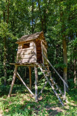 Ormandaki küçük ahşap ev. Ormandaki çocuk ağaç evi..