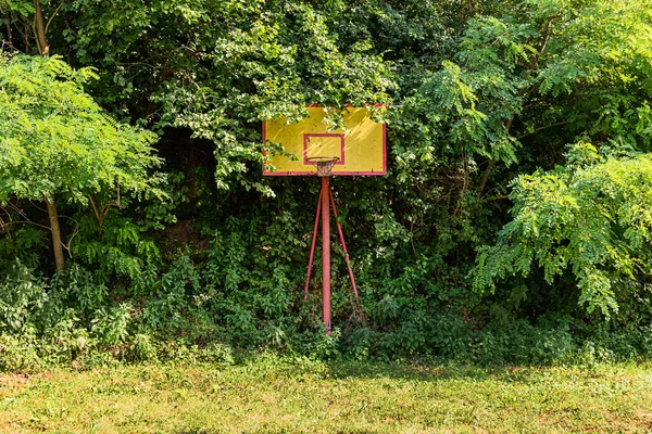 Verlaten Basketbalveld Bedekt Met Gras — Stockfoto