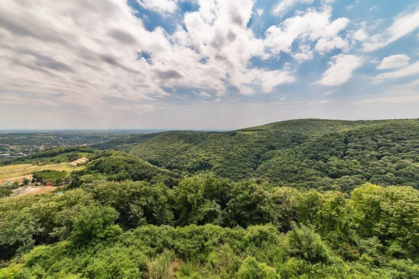 Sırbistan 'ın Voyvodina kentinde Fruska Gora Dağı Panoraması.